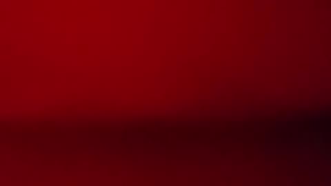 NOT LAY JENO: 11/19/25