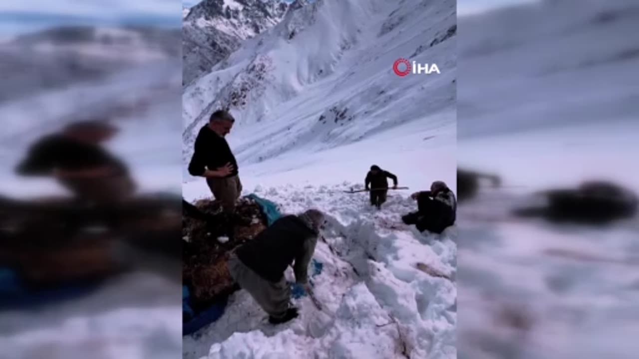 Yüksekova’da çiftçilerin zorlu kış mesaisi: 3 bin rakımdan kızak üzerinde otları indirdiler