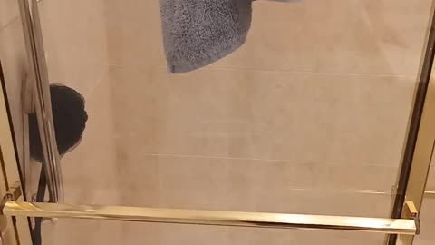 Happy almost New Year! Old & devoid of wisdom? It doesn't get any uglier than that! Part 2