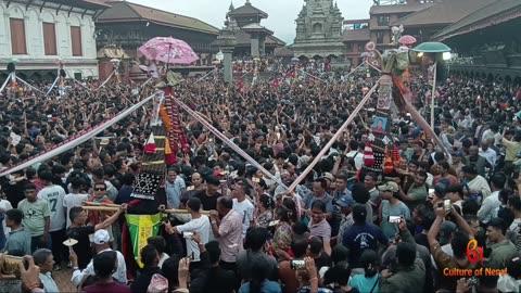 Saparu, Gai Jatra, Bhaktapur, 2082