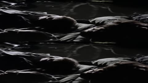 3D FULL TB 8K T 8K B HEVC x265 10 BIT BT 2020 Cinemascope The Lost World; Jurassic Park