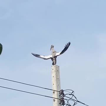 ARE YOU NOT ENTERTAINED?