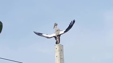 ARE YOU NOT ENTERTAINED?
