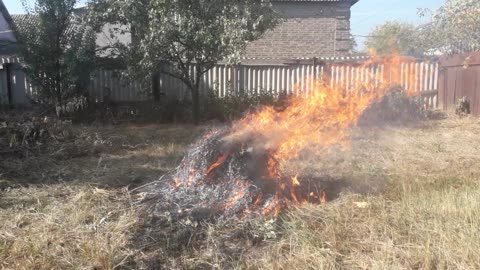 Big fire in the garden