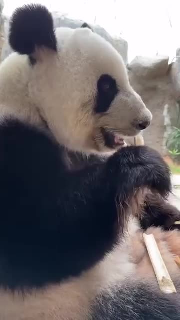 Quality control through smell