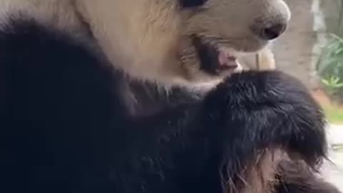 Quality control through smell