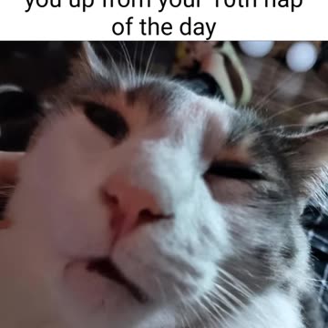 leaveeeee me alone #funny #memes #viral #reels #shorts #fyp #explore #discover