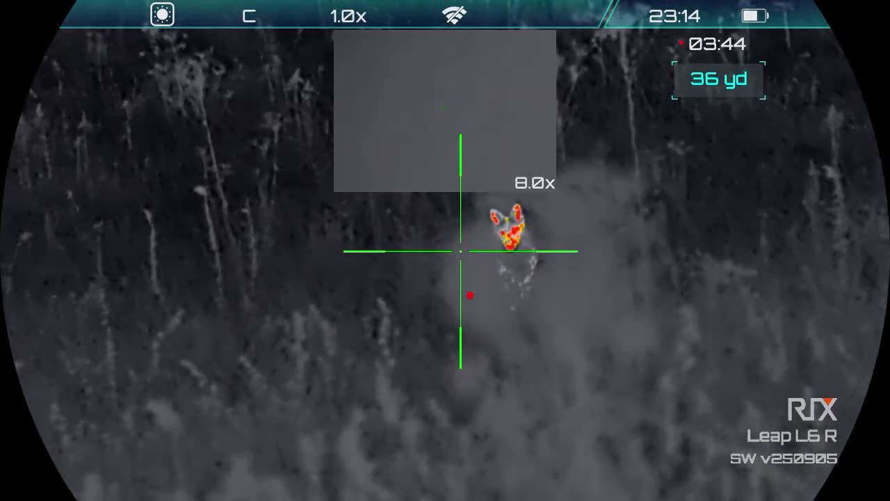 Coyote Down Close Range with 450 Bushmaster. Rix Leap L6R