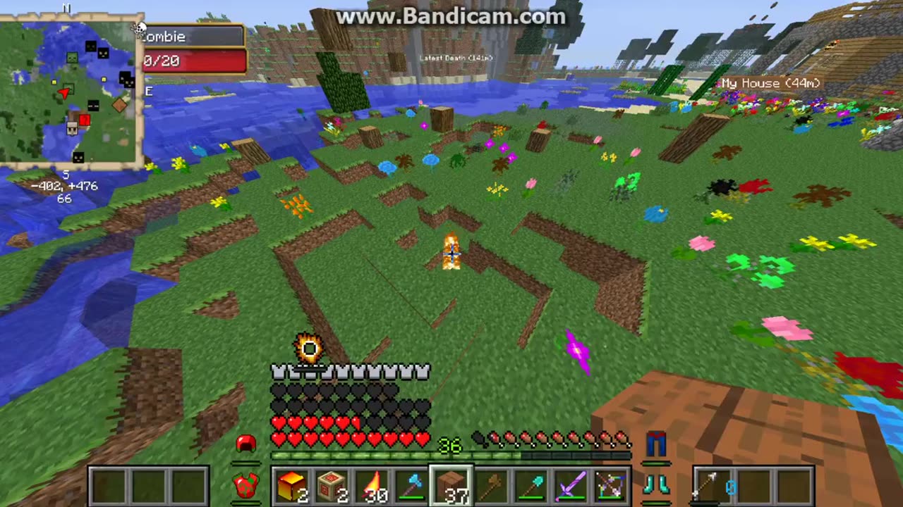 Minecraft burning zombie