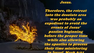 Matthew 14:13 - Daily Bible Verse Commentary