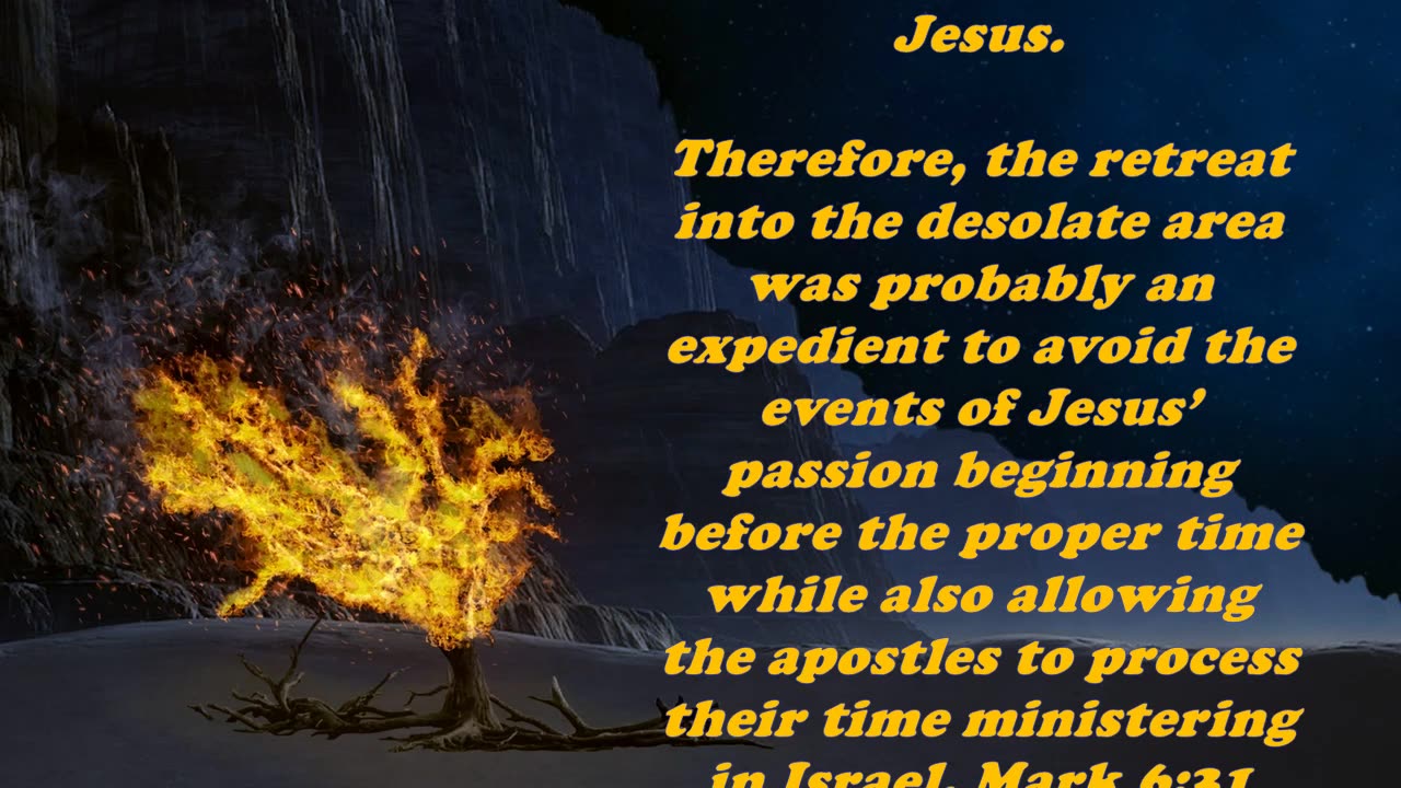 Matthew 14:13 - Daily Bible Verse Commentary