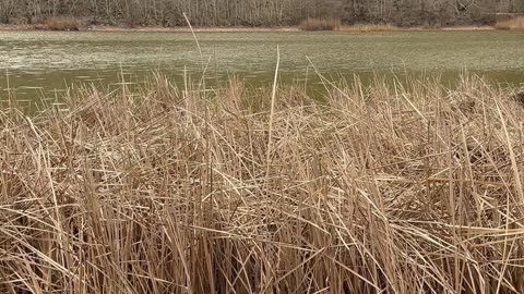 😊 230 CUANDO DEJAS IR EL MIEDO, ABRES LA PUERTA A… 😊