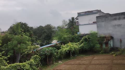 I love nature 🌱🌱