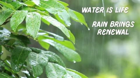 nature give you rewards
