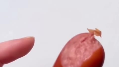 Hot Dog Casings Are Made From WHAT?! (The Truth About Cowhides)