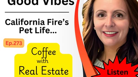 Turning Bad Views into Good Vibes, California Fire Pet Life