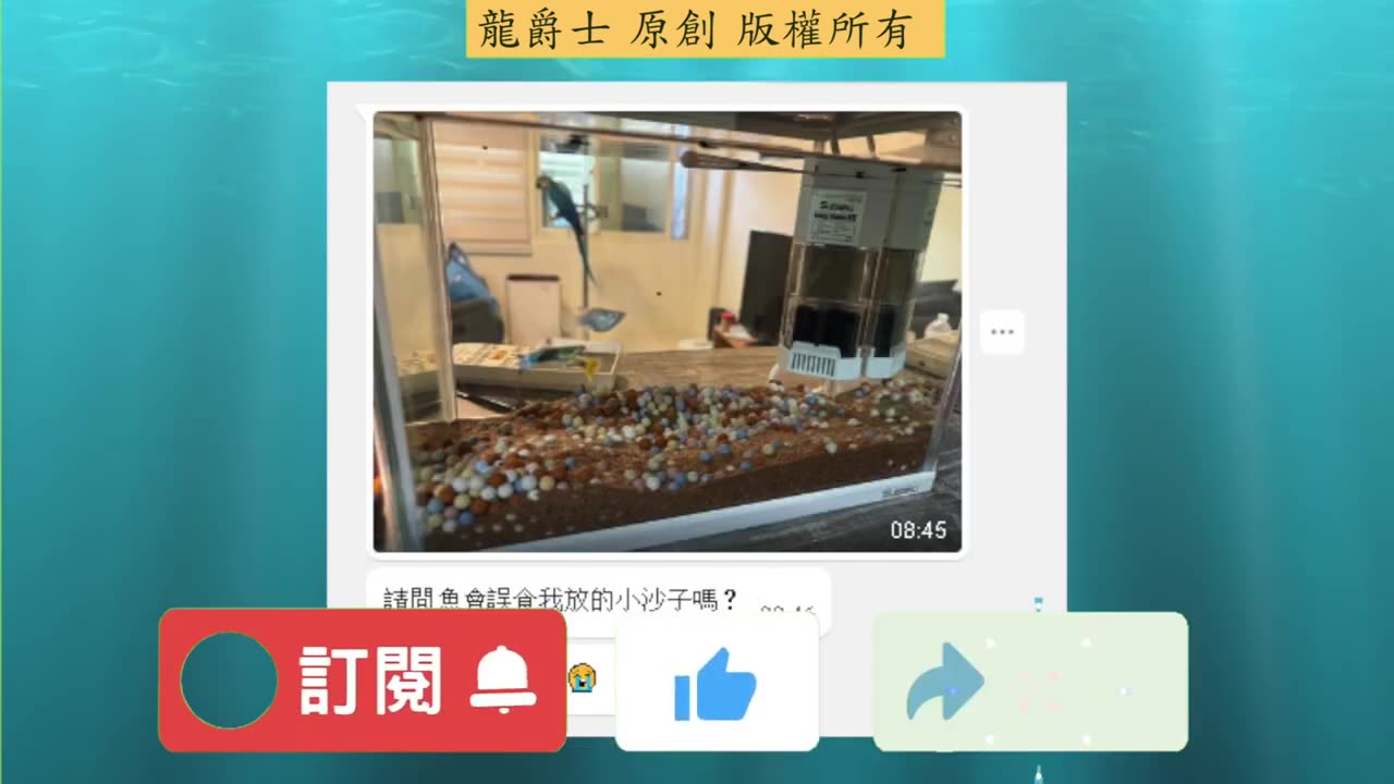 【龍爵士】千問千答 Q209 魚會誤食底砂嗎