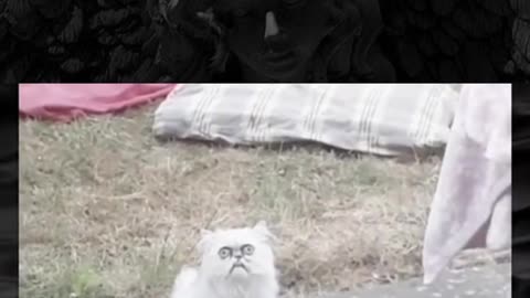 😱📹 The Scariest Paranormal Footage I've Ever Seen! | TheHauntingHour