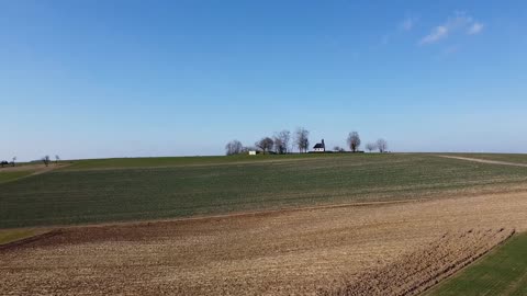 Vtáky (Birds)