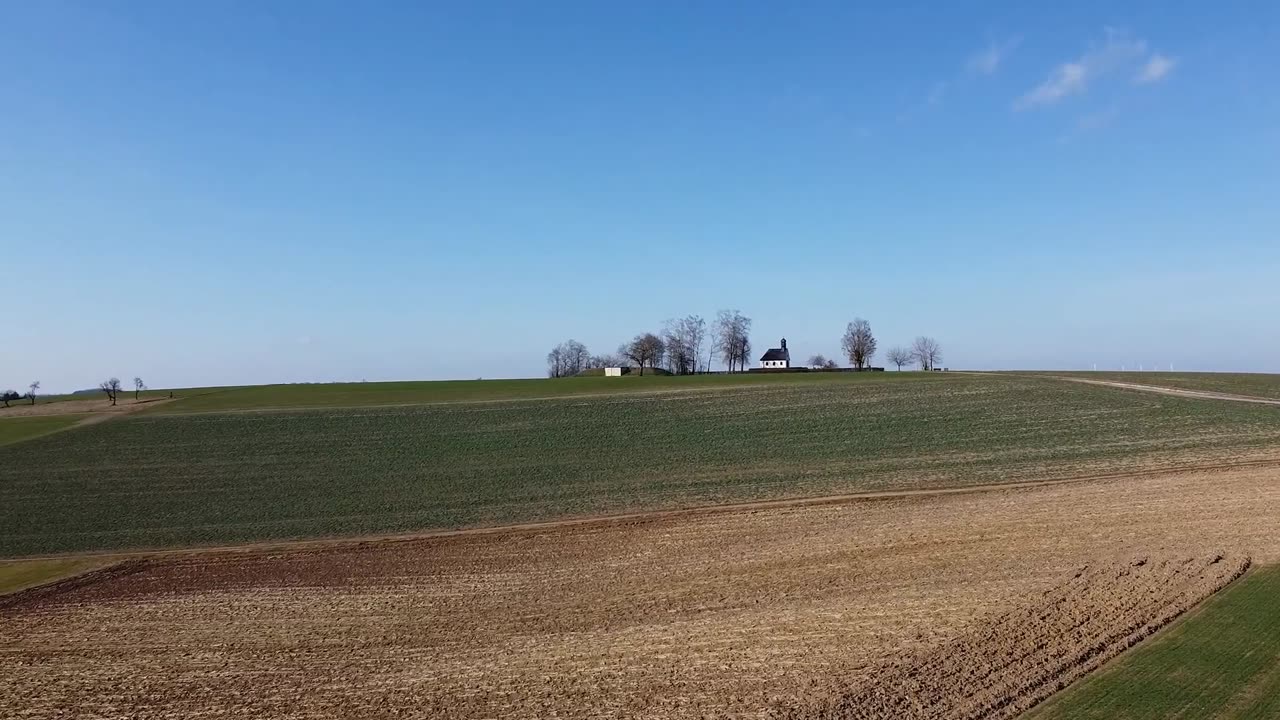 Vtáky (Birds)