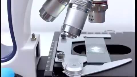 Rainwater collected and examined under a high-powered microscope keeps ...