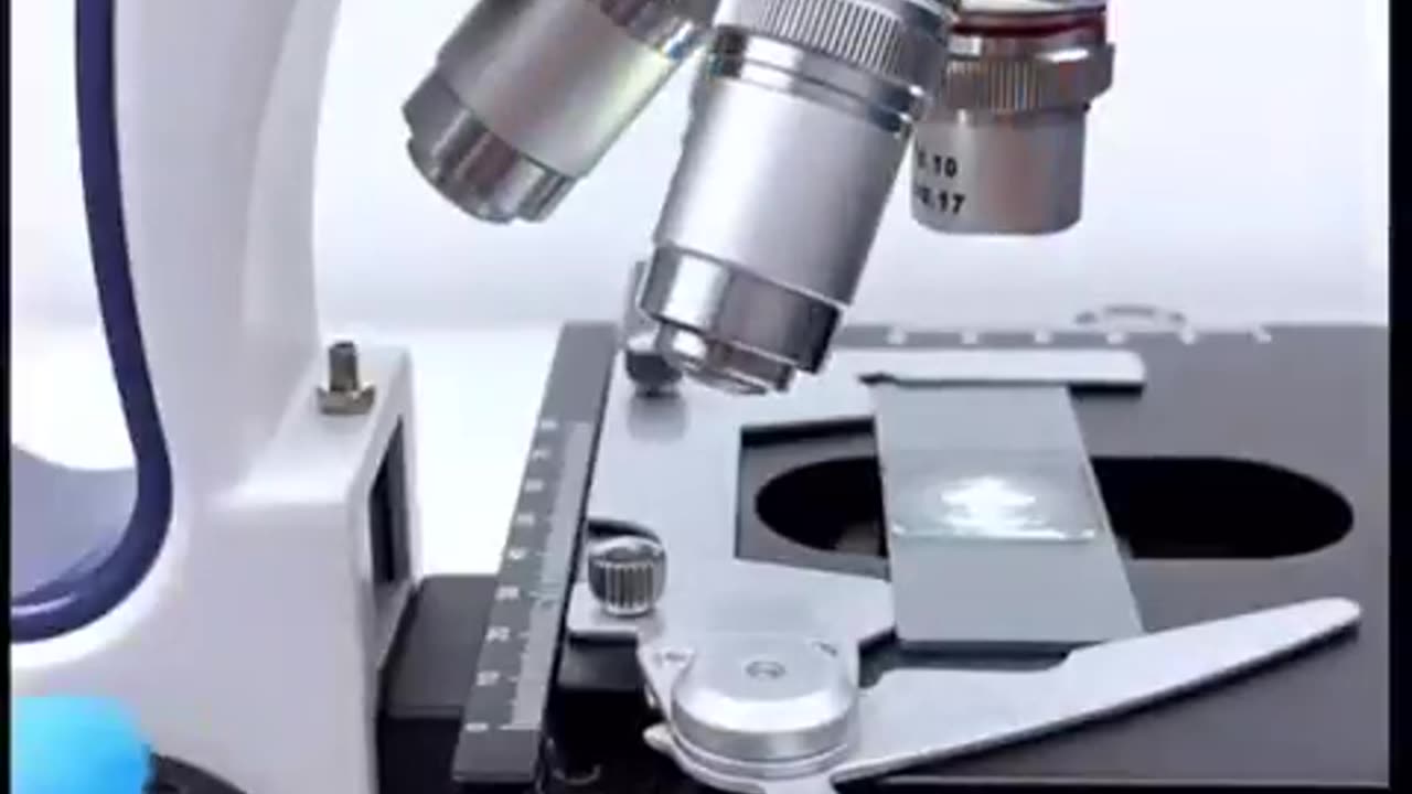 Rainwater collected and examined under a high-powered microscope keeps ...