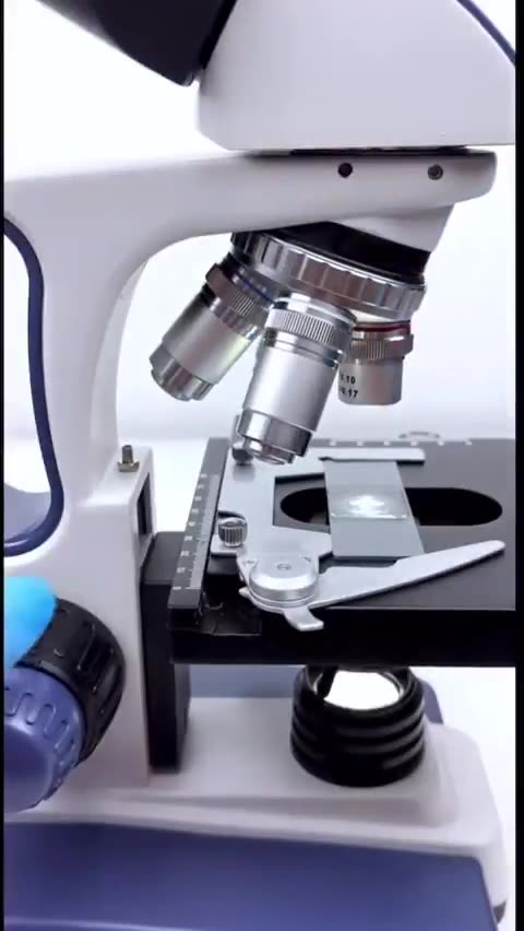 Rainwater collected and examined under a high-powered microscope keeps ...