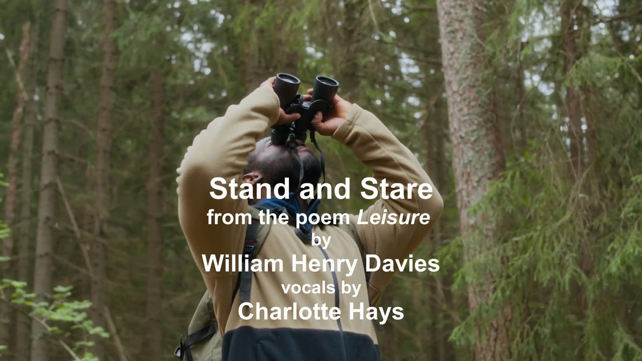Stand And Stare - A song about taking out a moment in your busy life to look around at life.