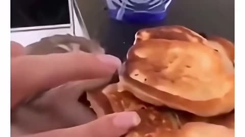 SNEAKY CAT tries to STEAL a PANCAKE BITE!