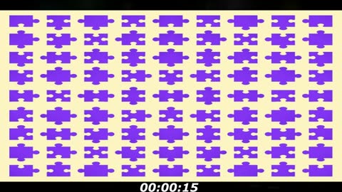 Puzzle piece: There's a piece that don't fit, only few people can find it