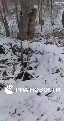 Ukrainian Troops in Kursk Region Kill Comrade by Tying Him to a Tree – Russian Source"