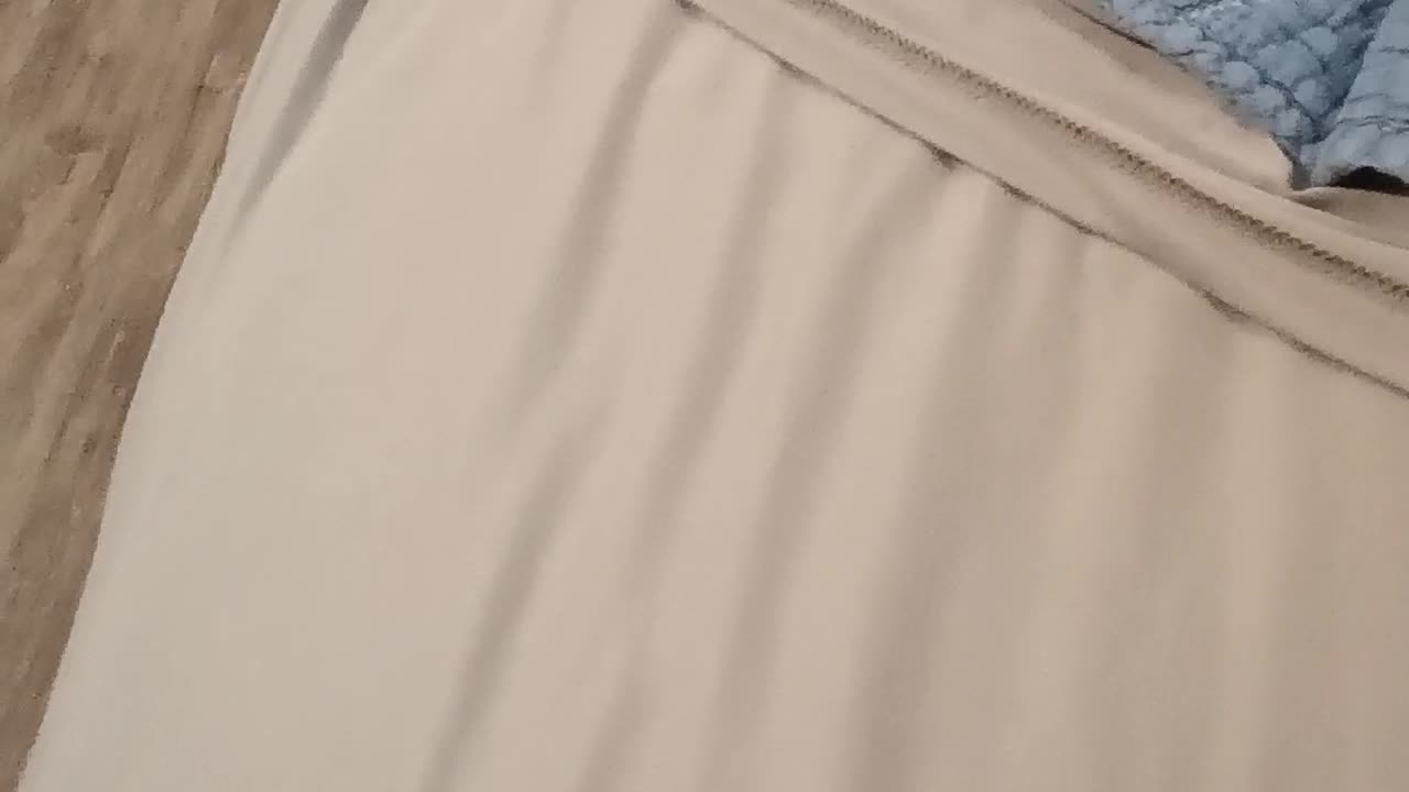 Apparently, reading comprehension isn't Jeff Wiener's strong suit