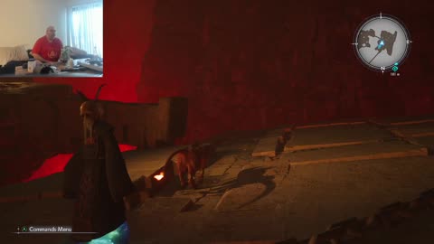 THE Final Funtasy VII Rebirf aka Niggers, Titties, and Karens (THE PC)