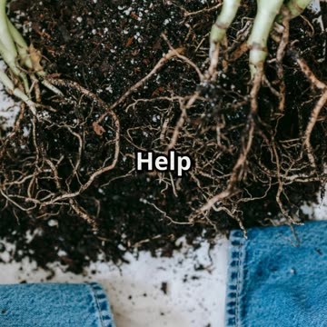 Gardeners Are Burying Glass Bottles—Here’s Why You Should Too!