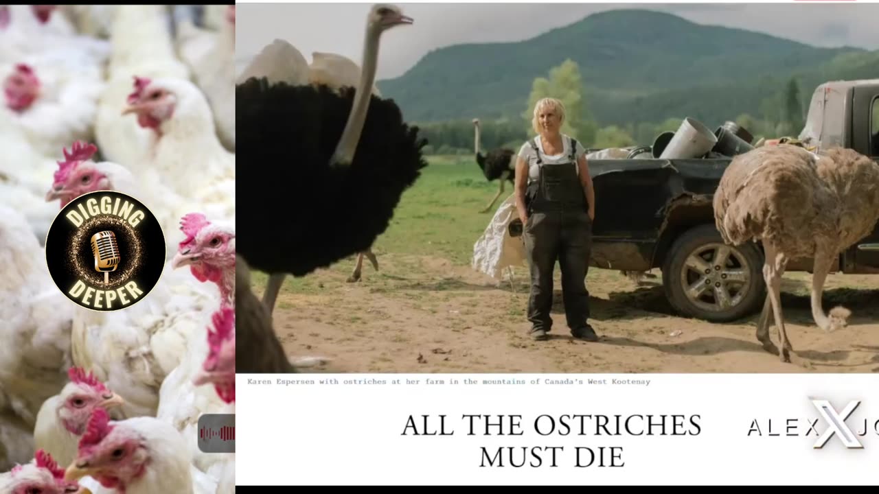 Bird Flu Scare All Over Again