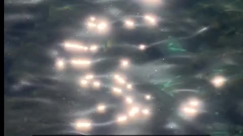 Daily Horoscope | Pisces 🌟