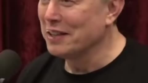 Elon Musk More Know it all Nonsense