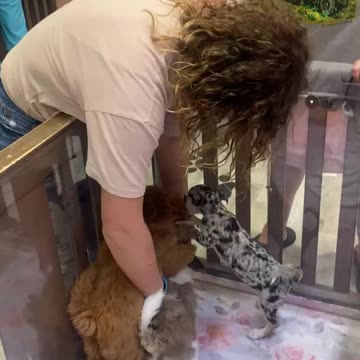 Fox Valley Mall summer 2024