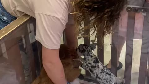 Fox Valley Mall summer 2024