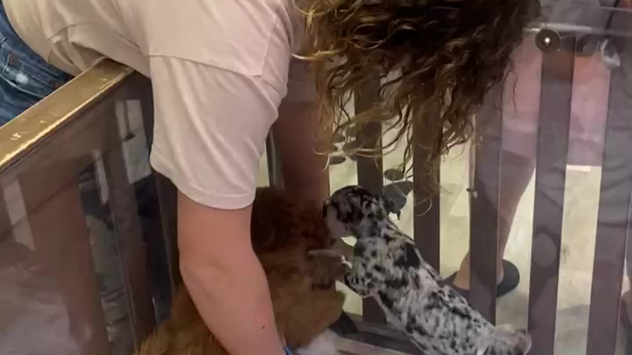 Fox Valley Mall summer 2024