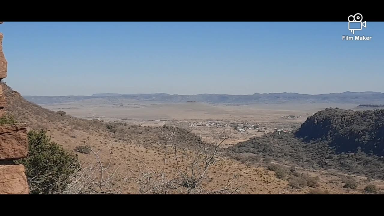 Petrified tree stump?? Vlog✨️🌻