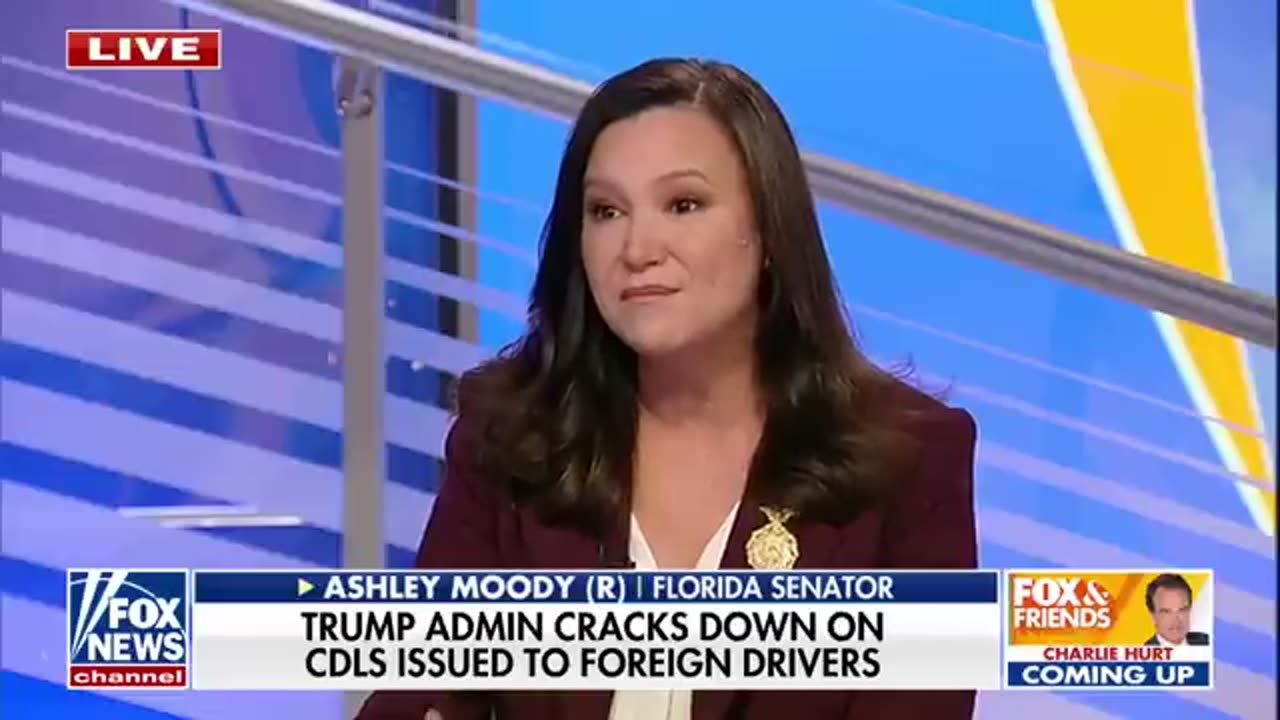 Duffy throws down GAUNTLET on migrant trucker licenses