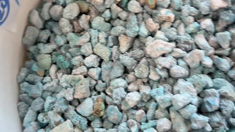 20251009-01 Turquoise Pendant: Bear Your Beautiful Aspirations