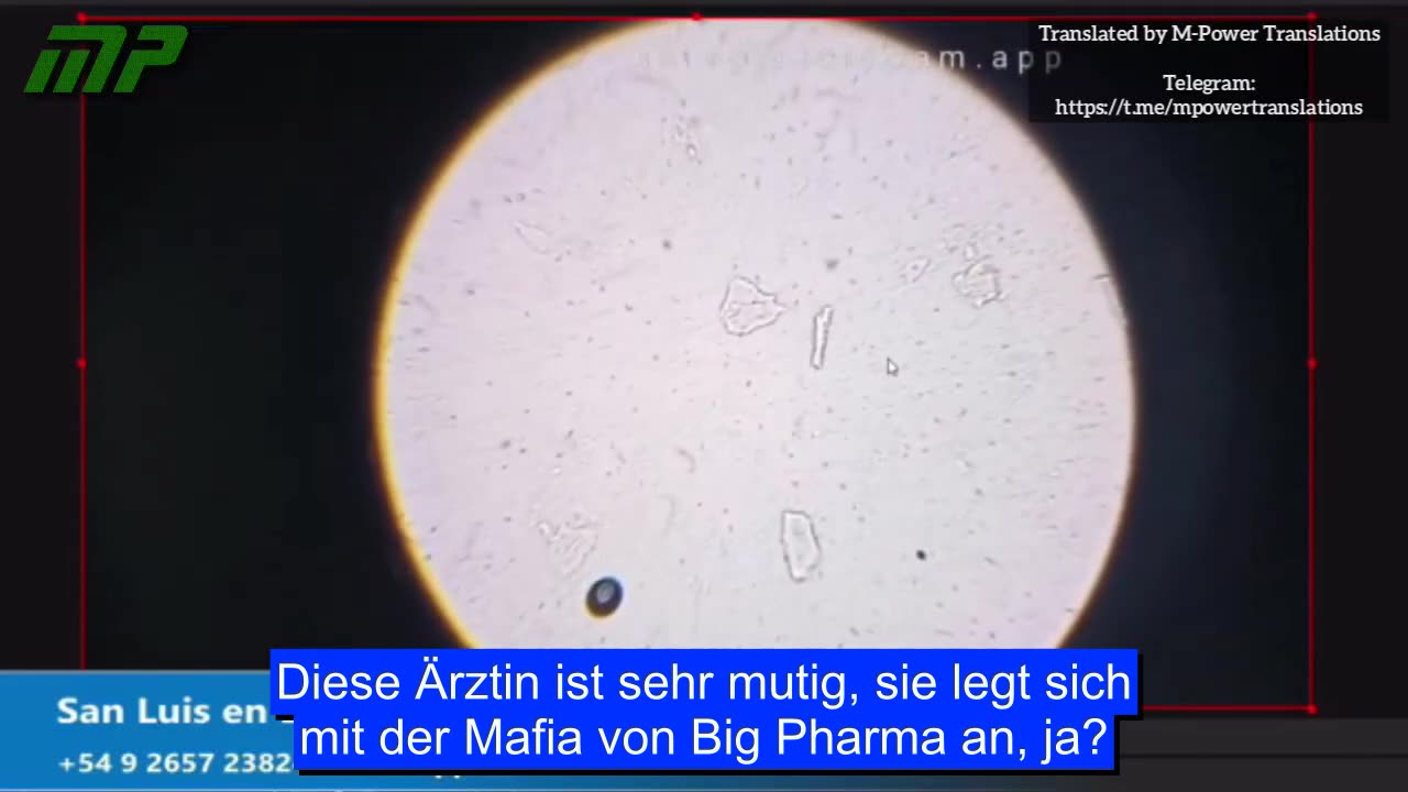 Doktorin Liliana Zelada analysiert live unter dem Lichtmikroskop einen Hepatitis-B-Impfstoff