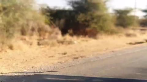 DAY 8. 24th AUG 22, MY LOOOOOONG ROAD-TRIP THRU THE COUNTRY OF TANZANIA, NORTH ON ROUTE TO UGANDA!