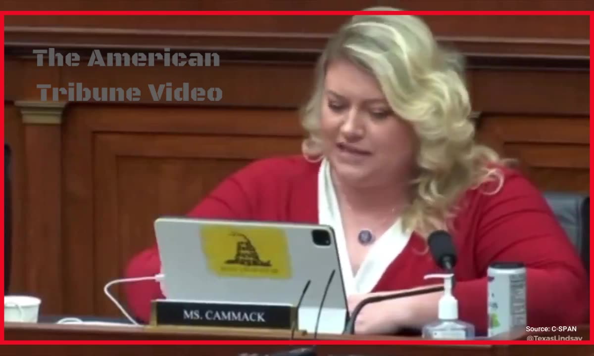 GOP Rep Exposes Dems Monetary Ties to Jeffrey Epstein in Front of Congress