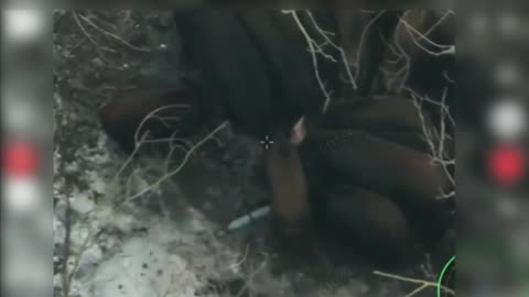 Having Russian Food For Lunch?