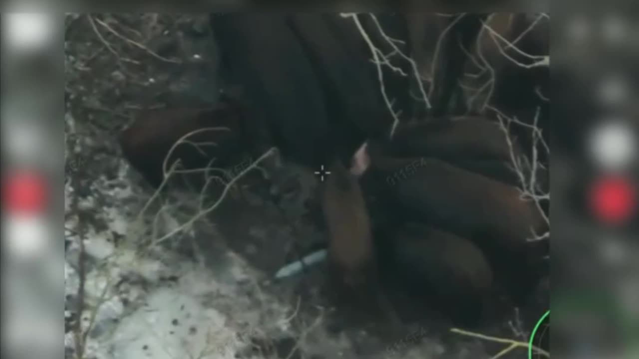 Having Russian Food For Lunch?