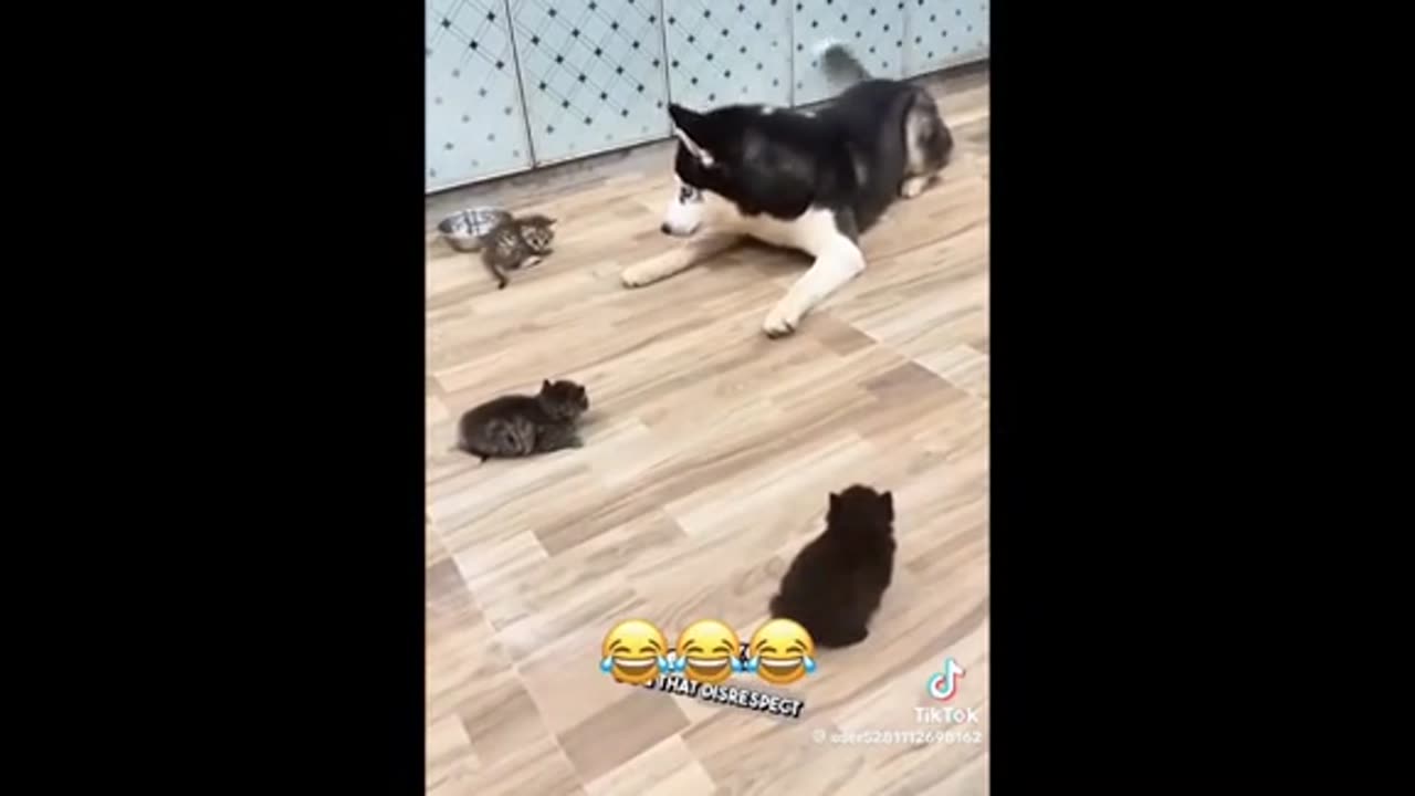 Need a laugh here and there ;)