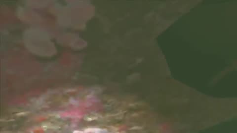 Halloween A-Thon 2014 Day 26. Resident Evil_ Revelations Day 4 - 8 _ 14